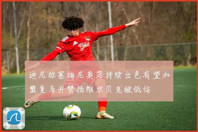 迪尼称塞梅尼奥若持续出色有望加盟皇马并赞扬维尔贝克被低估