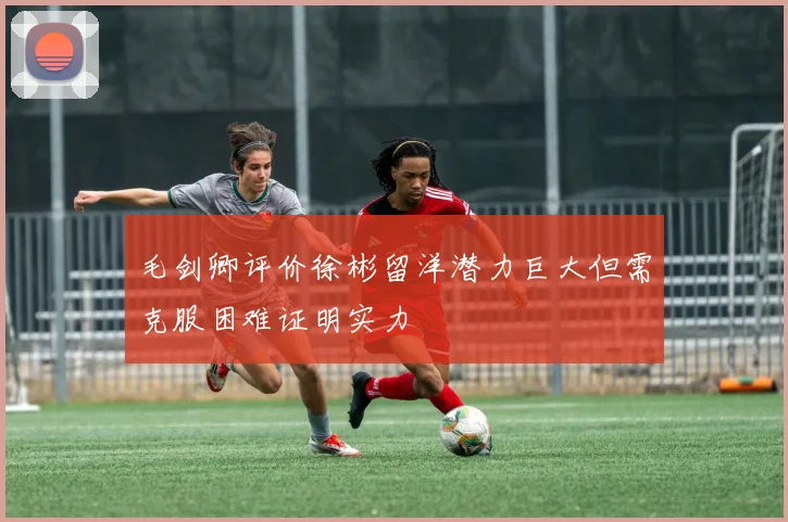 毛剑卿评价徐彬留洋潜力巨大但需克服困难证明实力