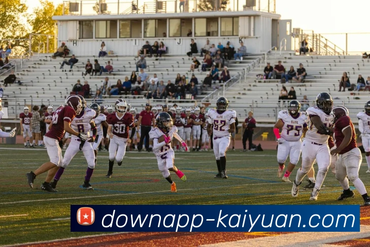 开元体育平台生态图